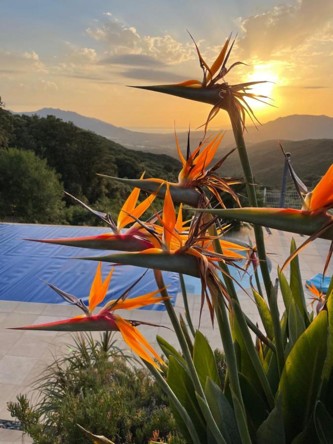 Villa U Tramontu Granace Екстериор снимка